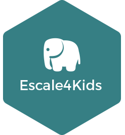 logo e4k